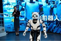 中国银行深圳市分行大湾区金融研究院院长帮理