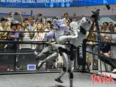 国度和地域对数据的平安监管有分歧要求